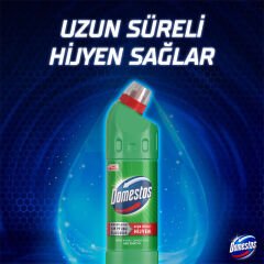 Domestos Yoğun Kıvamlı Çamaşır Suyu Dağ Esintisi 750 Ml
